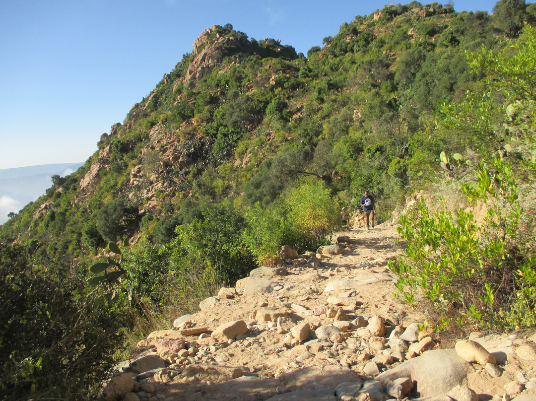 Debre Bizen Monastery-阿斯玛拉必去景点