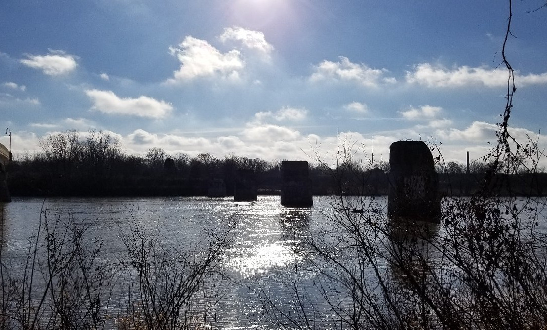 Side Cut Metropark景点图片