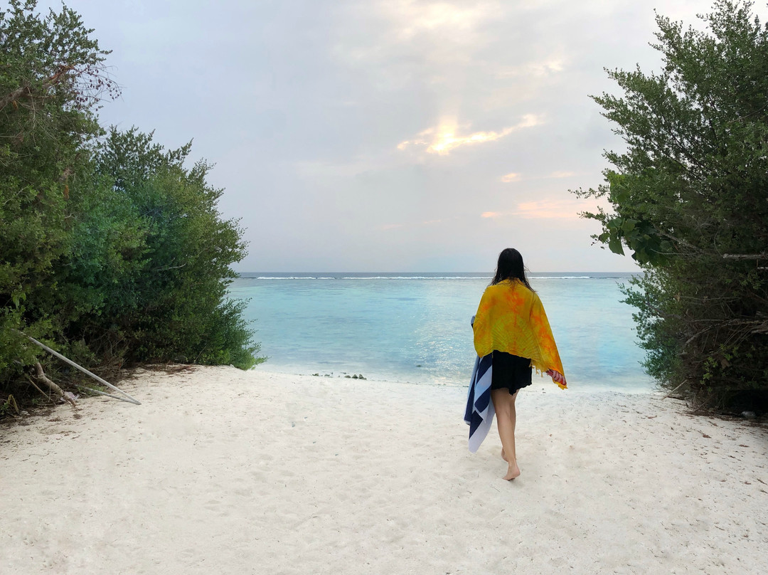 Tiny Island Maldives主图