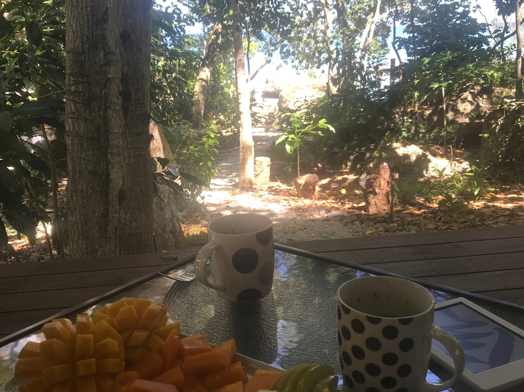 Divi's Boutique Retreat主图