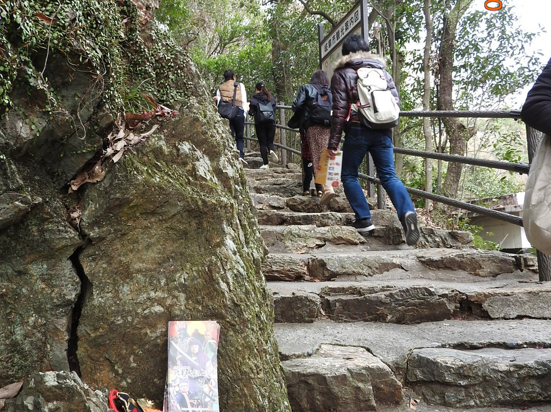 Mt. Kinka景点图片