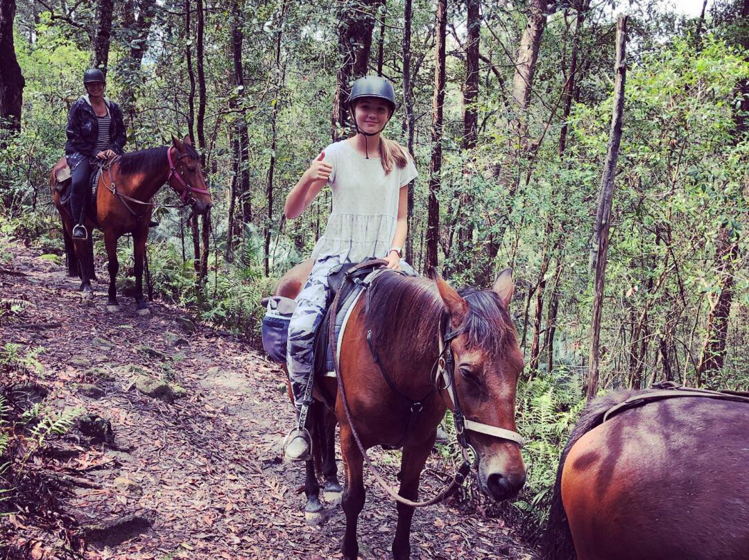 Man from Kangaroo Valley Trail Ride-袋鼠谷必去景点