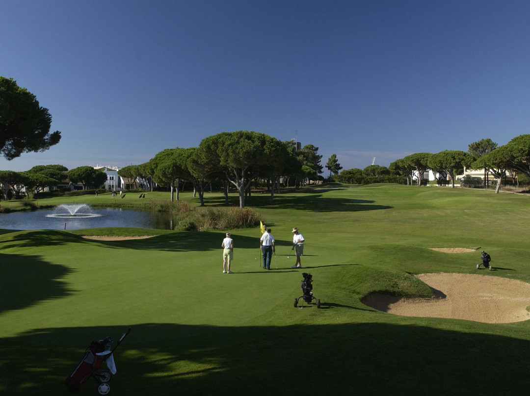 Dom Pedro Pinhal Golf Course景点图片