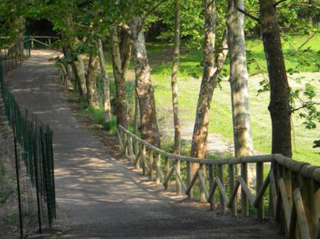 pista ciclabile lago di Comabbio景点图片