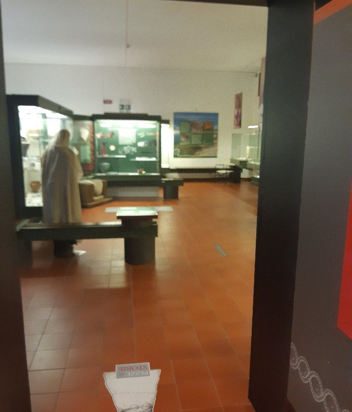 Museo di Storia Naturale e Archeologia景点图片