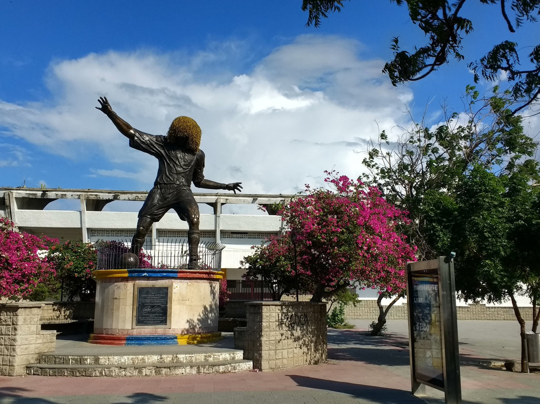 Carlos El Pibe Valderrama Statue景点图片