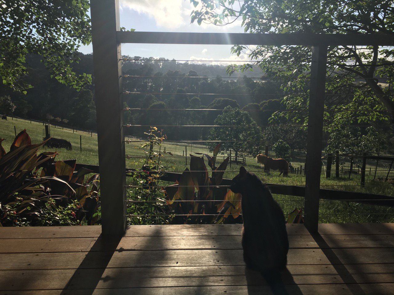 Emerald Ridge Bed & Breakfast-浴室