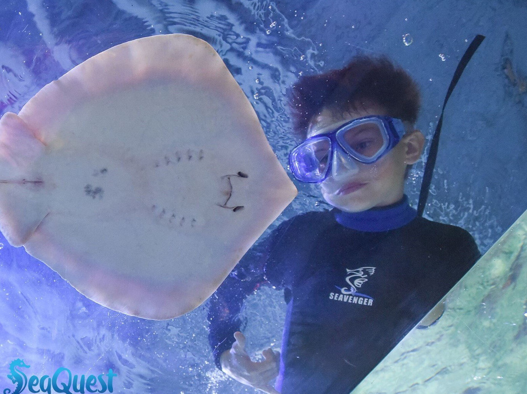 NorCal Aquarium & Wildlife-佛森必去景点