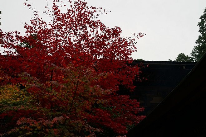 Kongorin-ji Temple Main Hall-爱庄町必去景点