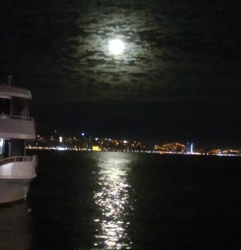 Selanikli Pansiyon主图