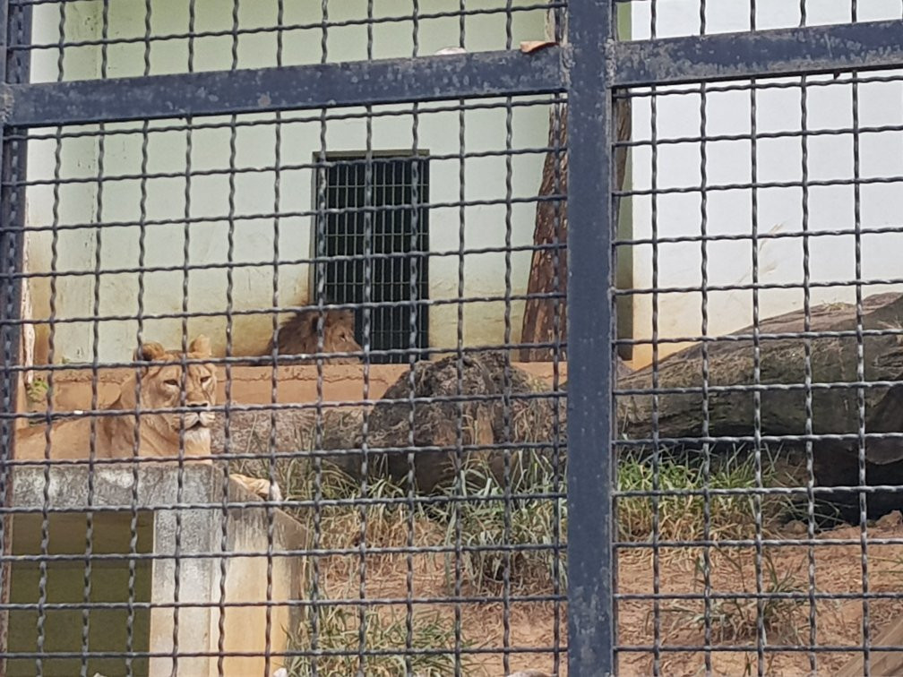 Zoológico de Varginha景点图片