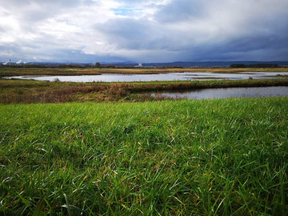 RSPB Burton Mere Wetlands景点图片