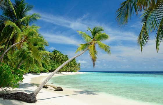 Luck Receptivo Maceió-Maceio必去景点