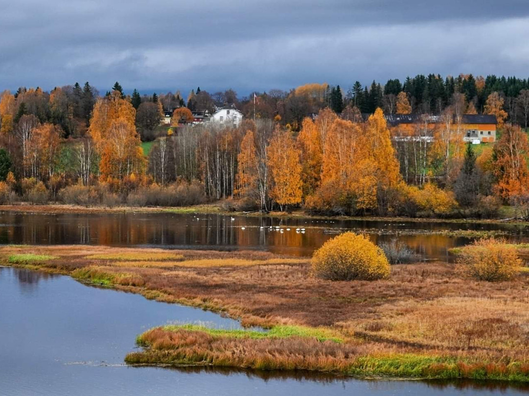 Aakersvika Nature Reserve景点图片