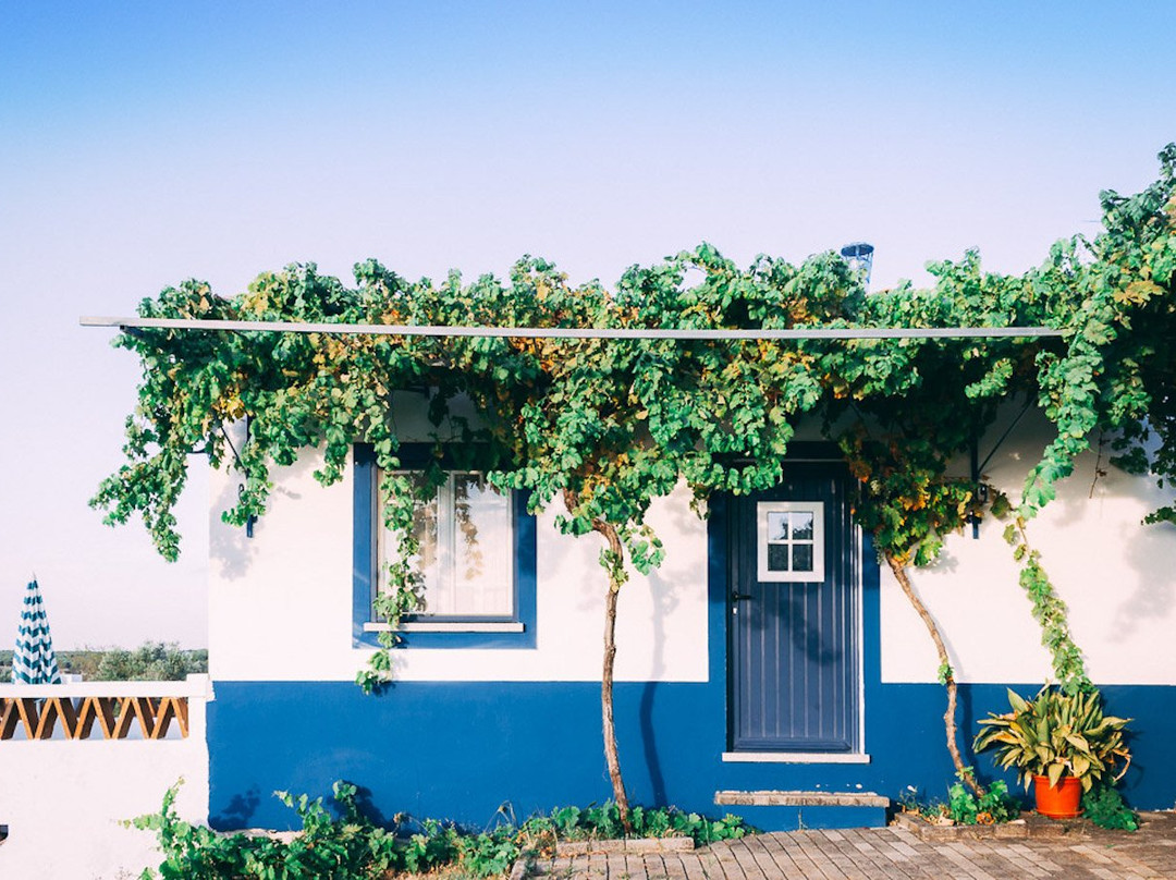 Monte do Colmeal - Country House & Wine主图