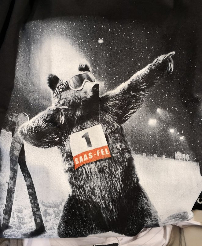 Cesar Sport Alpin-萨斯费必去景点