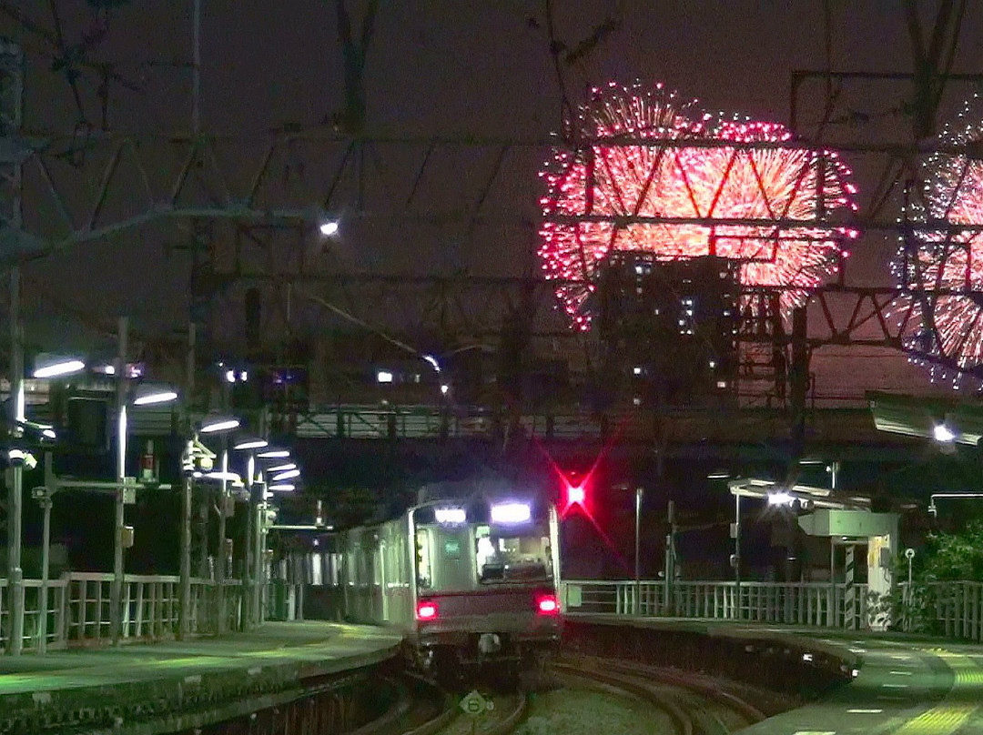 Adachi Fireworks-足立区必去景点