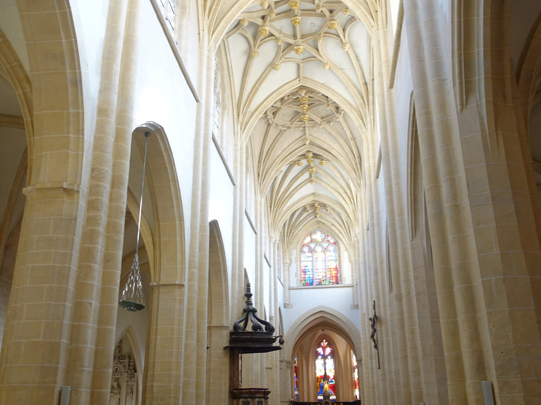 Notre-Dame-des-Marais-索恩河畔自由城必去景点