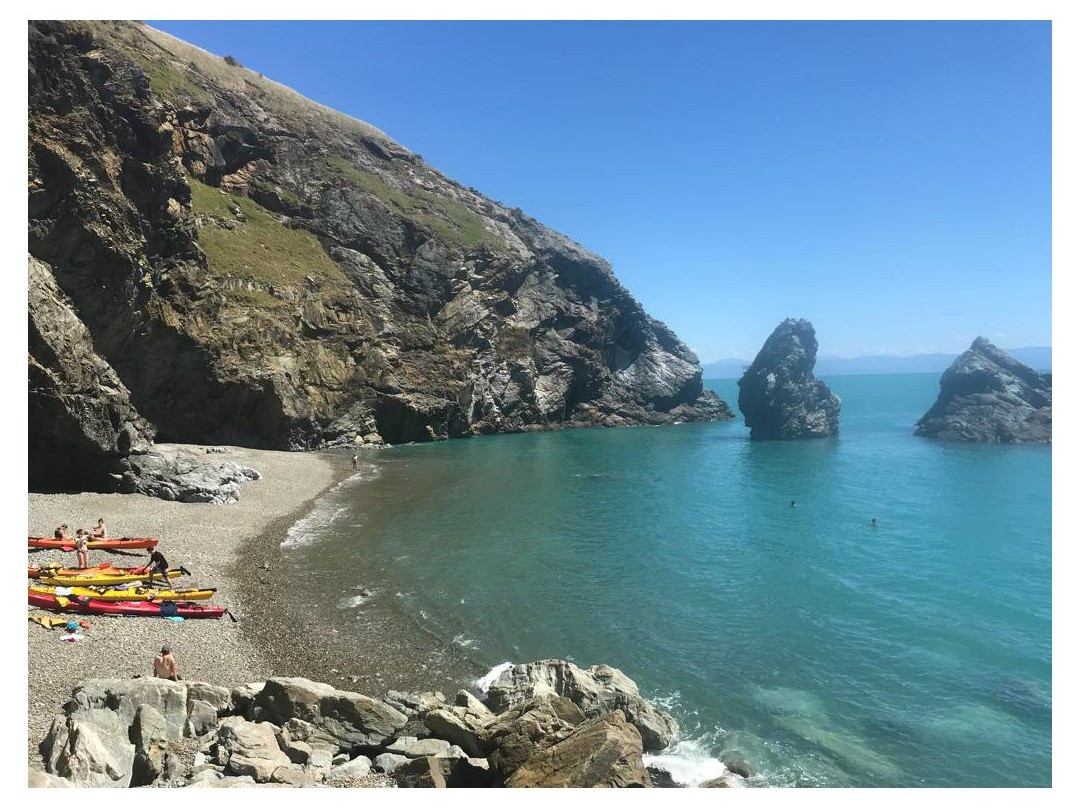 Cable Bay Kayaks-尼尔森必去景点
