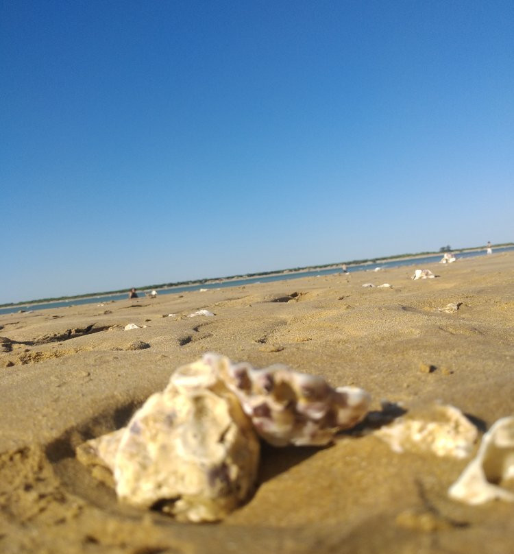 Playa de La Jara景点图片