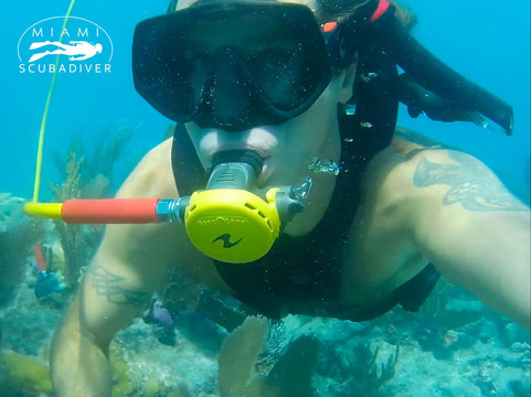 Miami Scuba Diver LLC-迈阿密海滩必去景点
