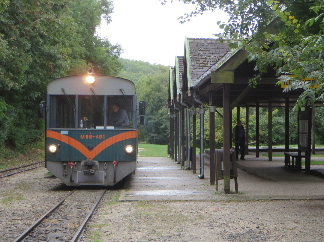 Kiralyret Forest Train景点图片