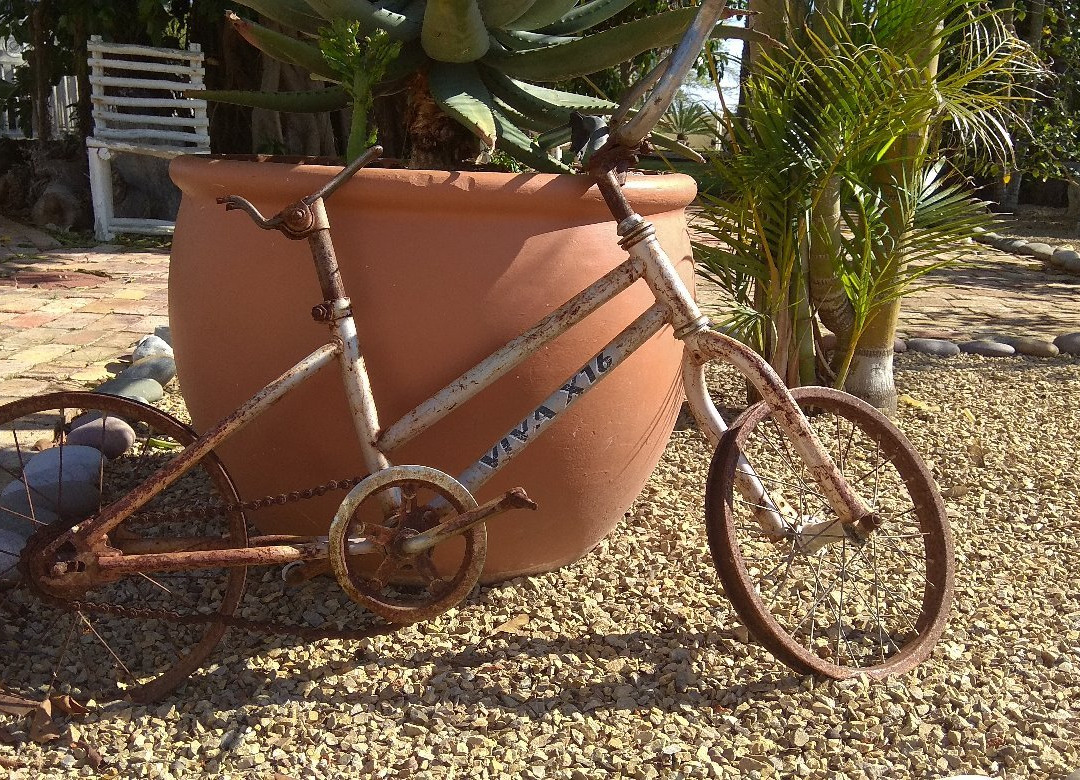 Belle Ombre Guesthouse主图