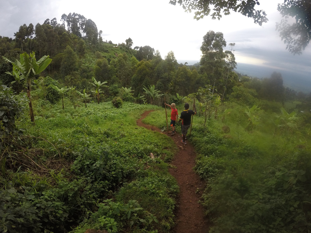 Salimo Safaris Uganda