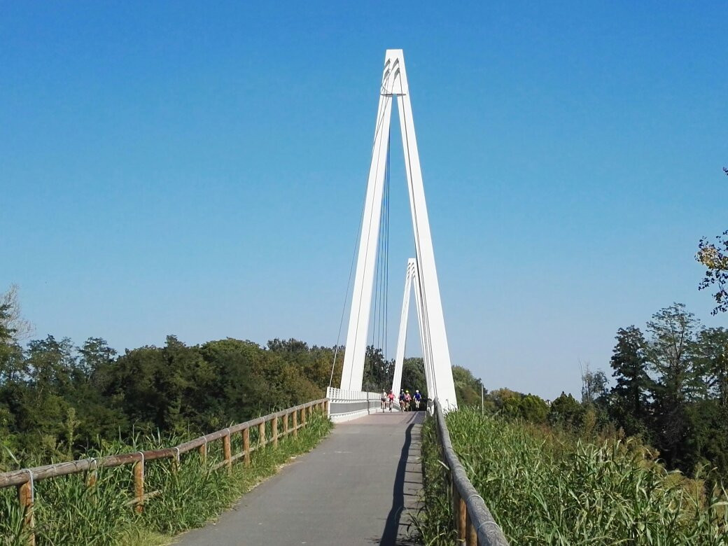 La Strada Ciclabile Treviso-Ostiglia-特雷维索必去景点