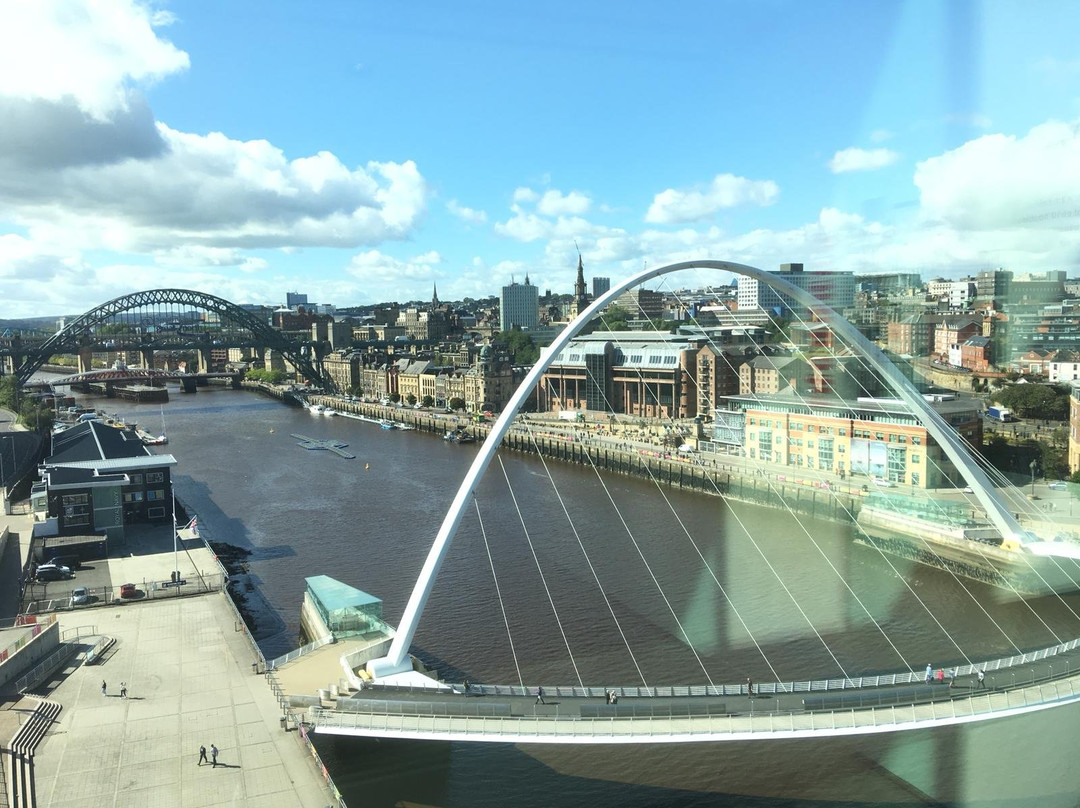 Newcastle City Tours景点图片