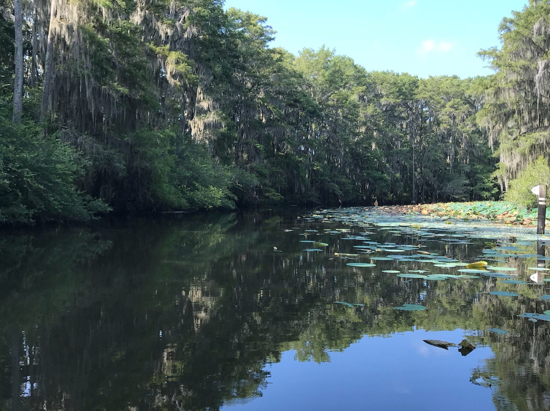 Big Dreamer Tours & Guide Services-Karnack必去景点
