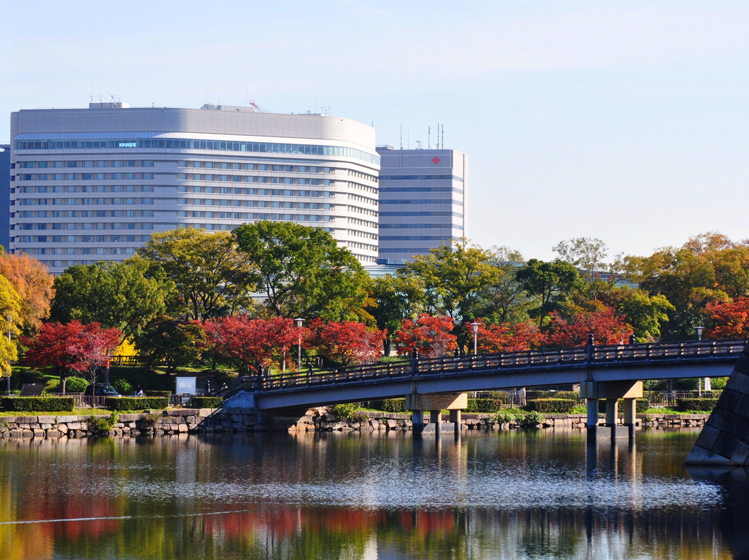 大阪新大谷酒店主图