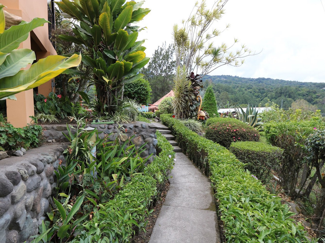 Residencial Campestre Los Pinos主图