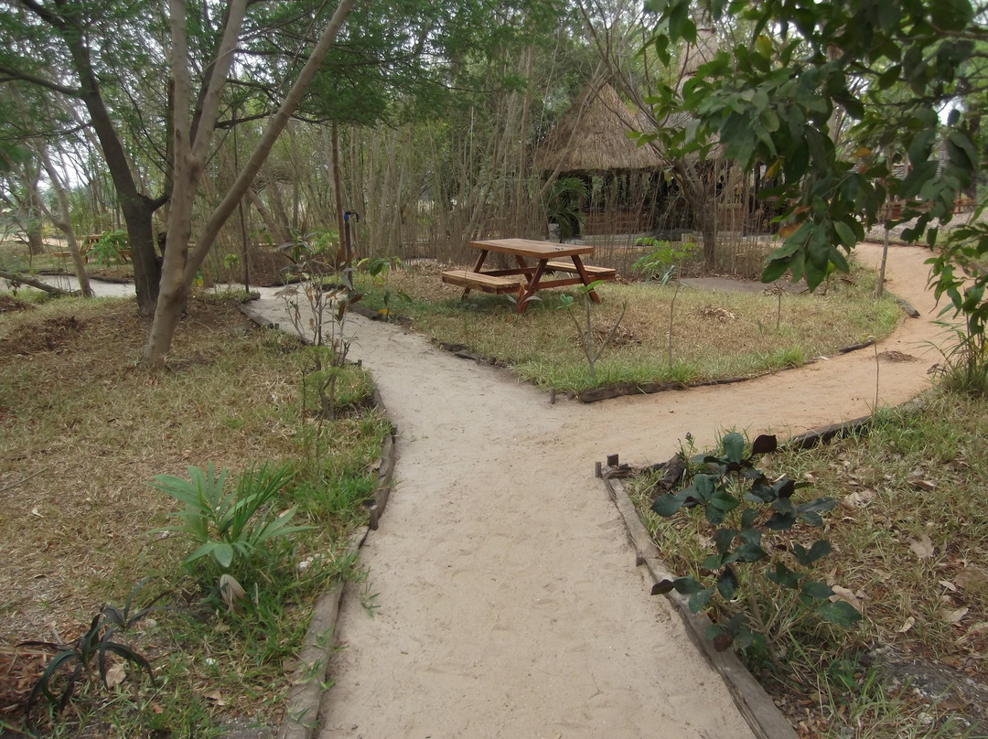 Mandinari River Lodge主图