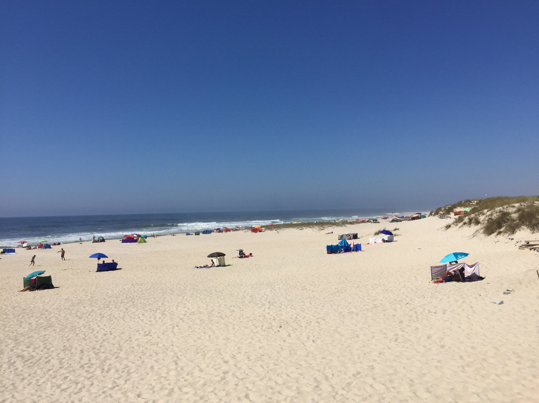 Praia da Torreira景点图片