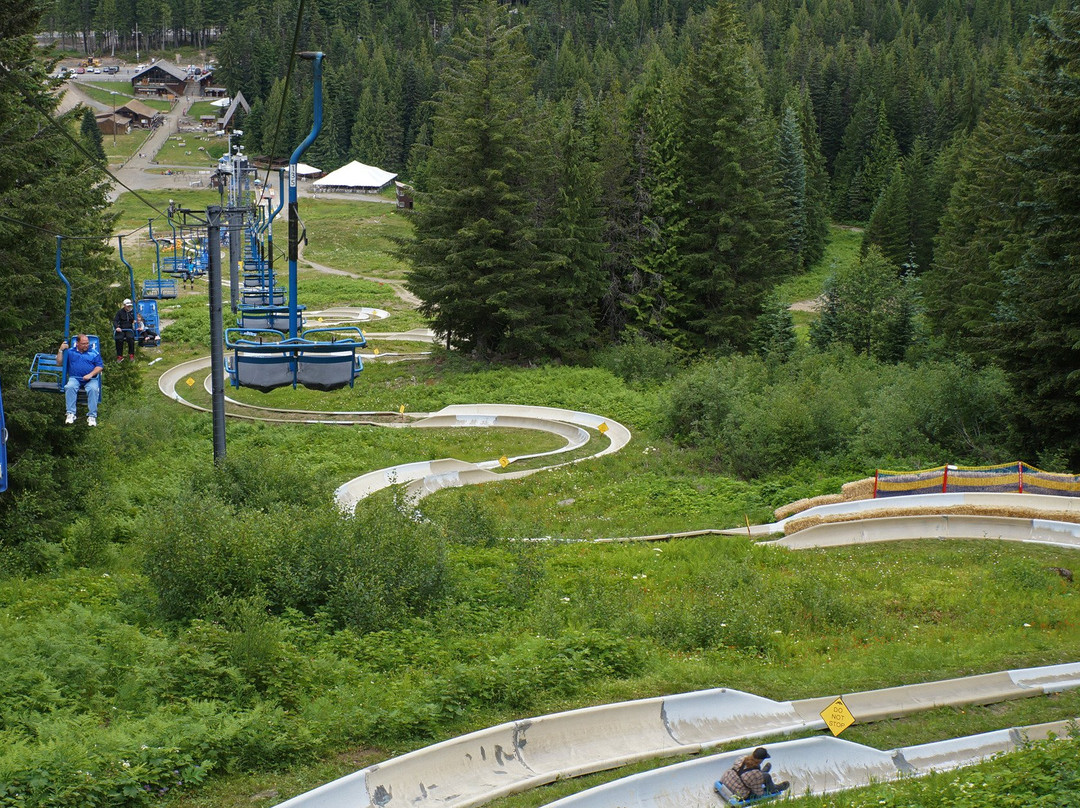 Mt. Hood Adventure Park at Skibowl景点图片