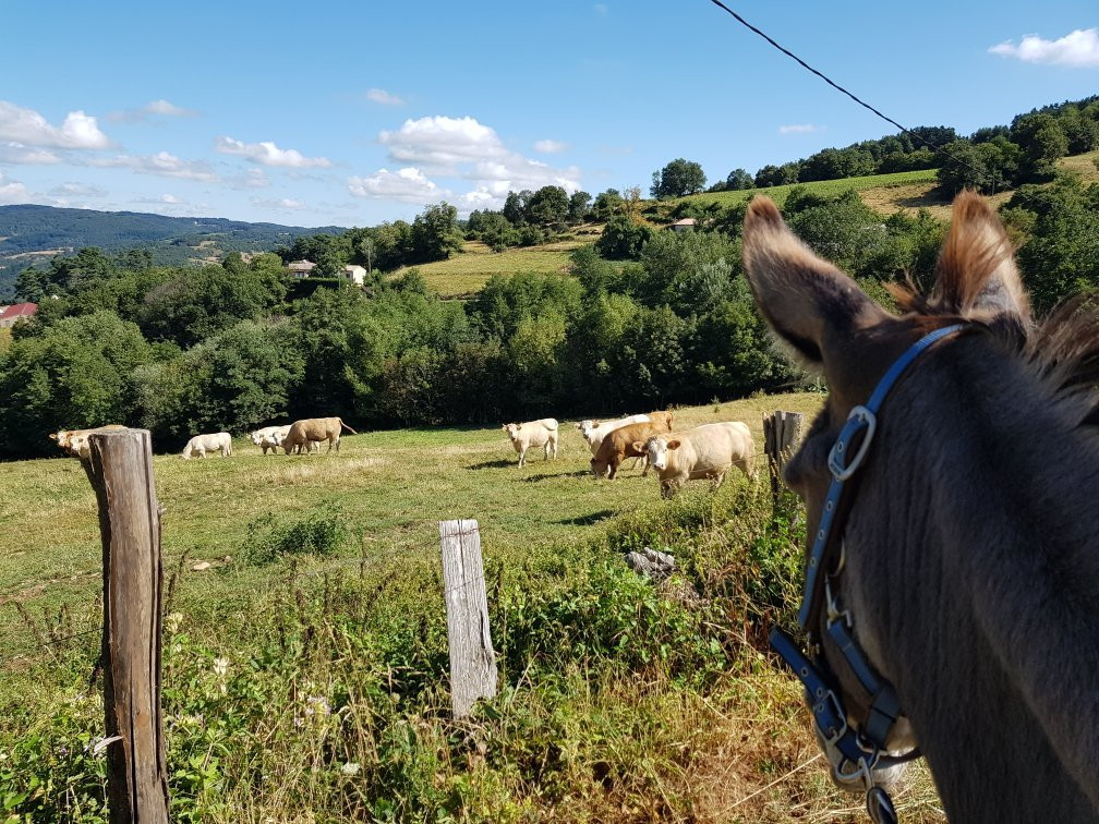 A La Bosse des Anes-Saint-Julien-le-Roux必去景点