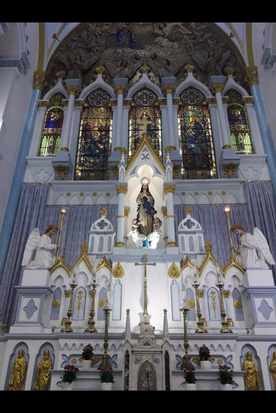 Sé Catedral Nossa Senhora da Conceição-Franca必去景点