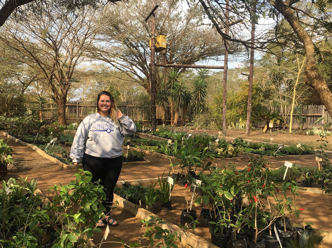 Ilala Weavers-赫卢赫卢韦必去景点