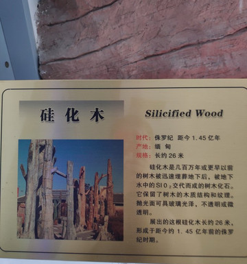 南京地质博物馆-南京市必去景点