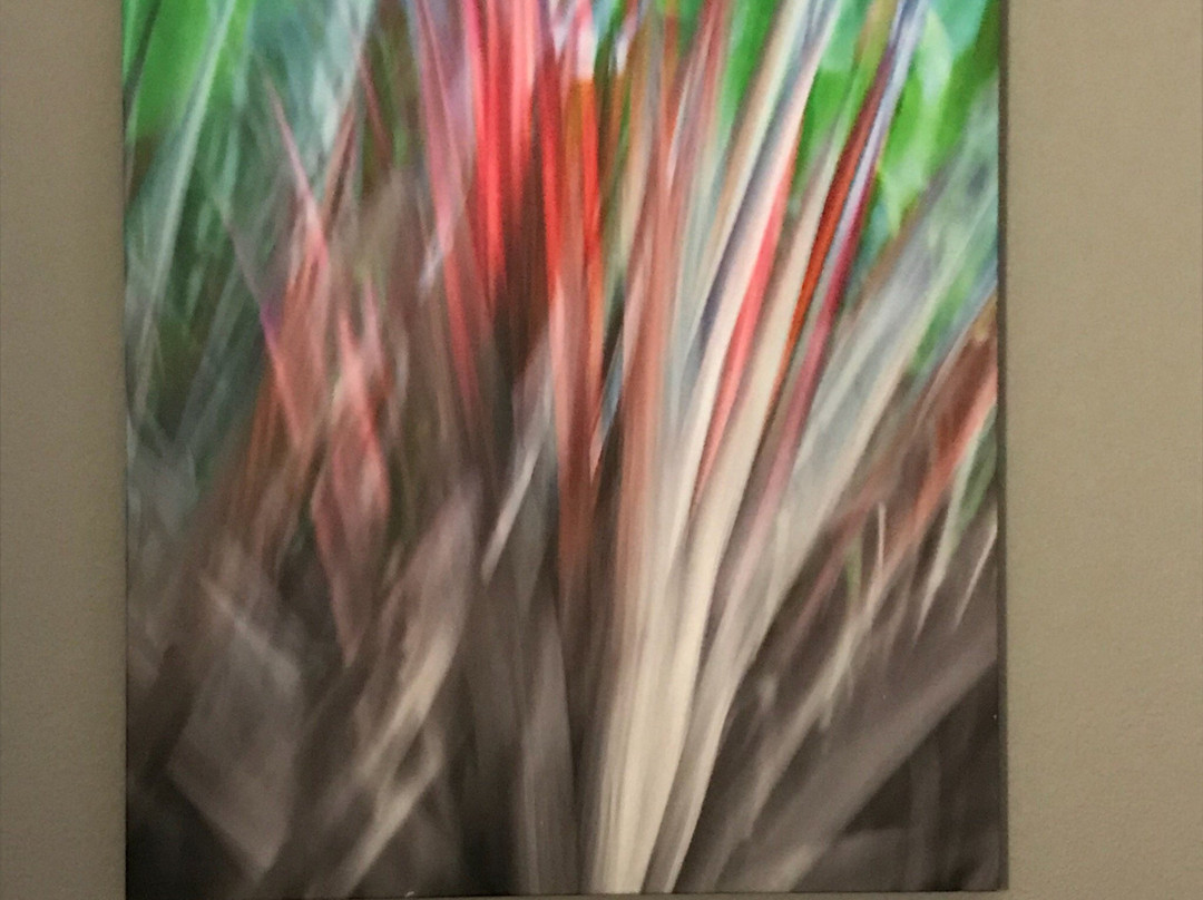 Holiday Inn Express & Suites Cleveland West - Westlake By IHG主图