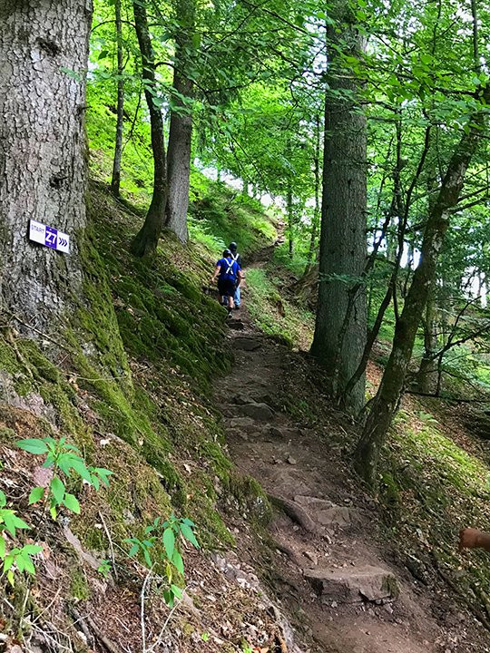 Hirschgrund - Zipline Area Schwarzwald-希尔塔赫必去景点