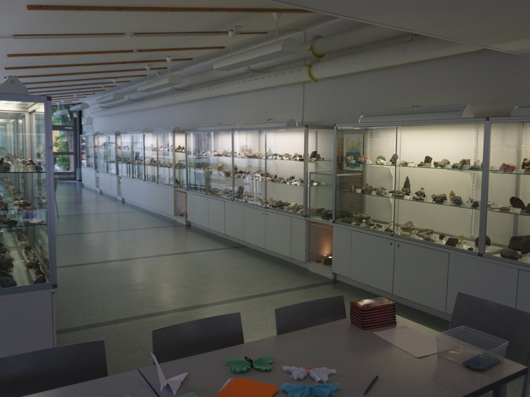 Kieppi, Kokkola Museum of Natural History景点图片