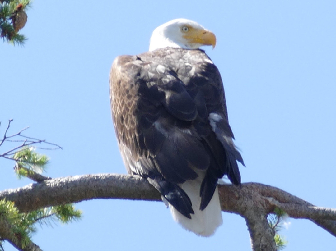 Sidney Spit Marine Park景点图片