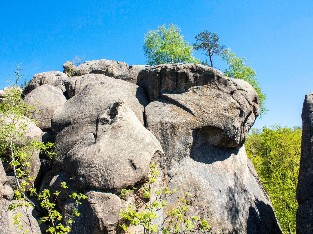 Dovbush Rocks景点图片
