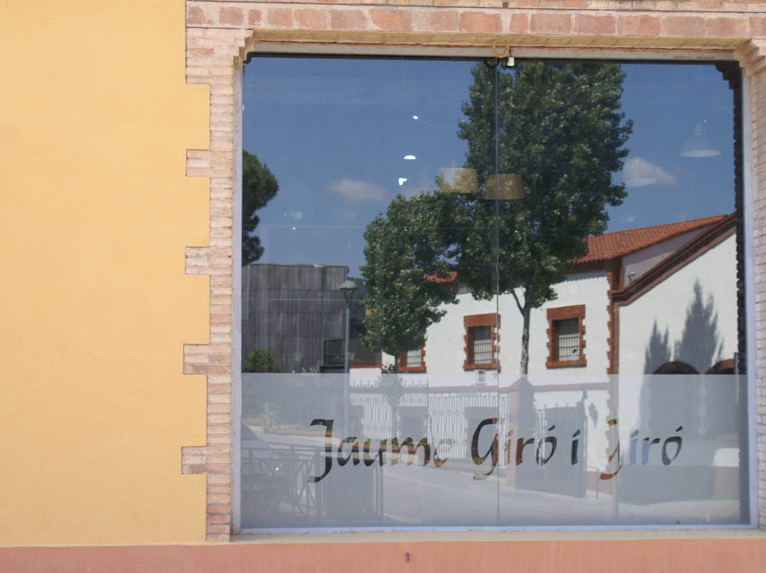 Cava Jaume Giro i Giro景点图片