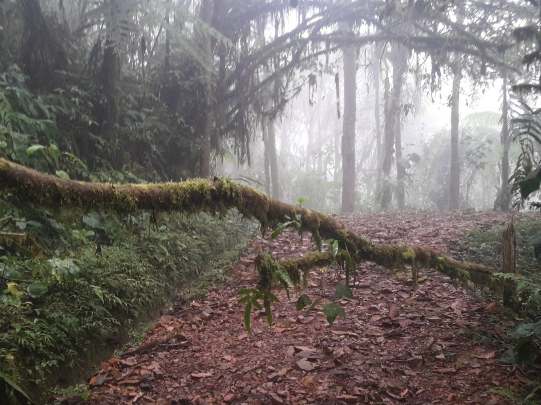 Sachatamia Lodge主图