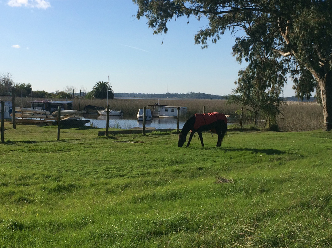 Parque Lecocq-蒙得维的亚必去景点