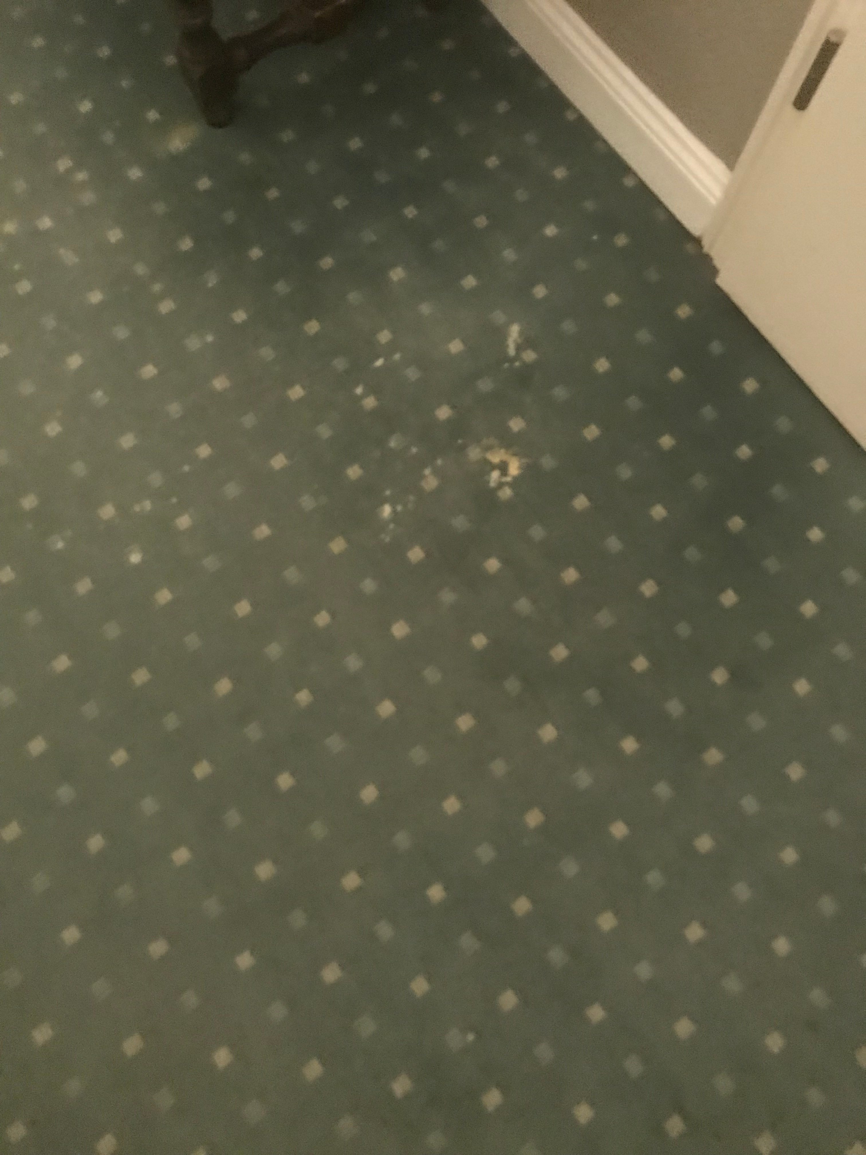 Hotel Mediterran-官方
