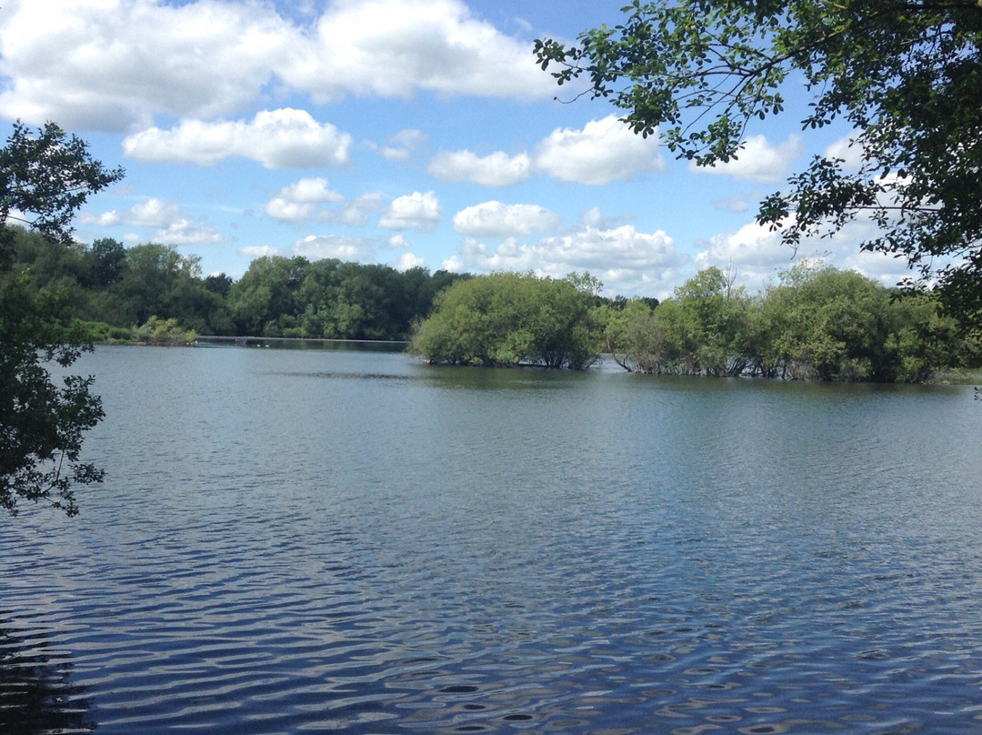 Loddon Nature Reserve-Twyford必去景点